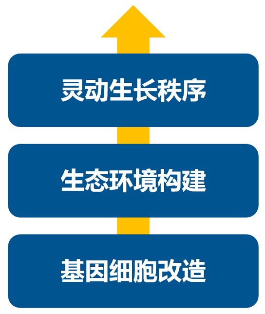 消費(fèi)升級(jí)大時(shí)代，品牌如何進(jìn)行戰(zhàn)略升級(jí)？