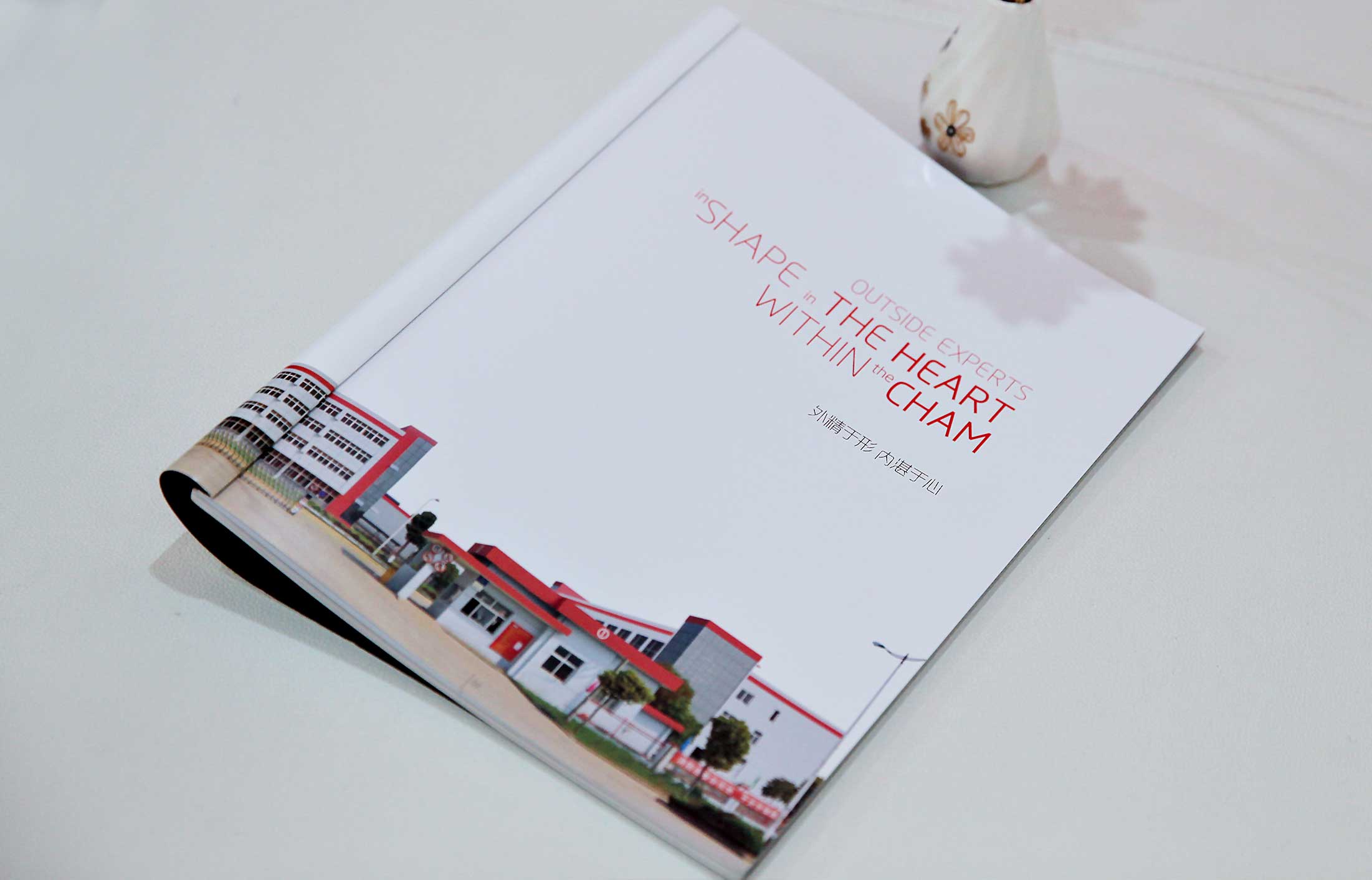 宣傳冊設(shè)計做的好表現(xiàn)在視覺上